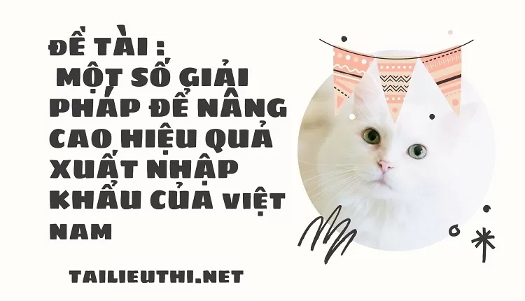 MỘT SỐ GIẢI PHÁP ĐỂ NÂNG CAO HIỆU QUẢ   XUẤT NHẬP KHẨU VIỆT NAM