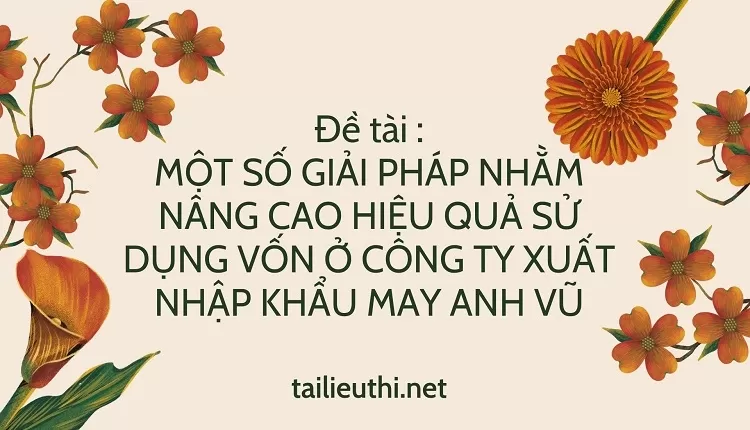 HIỆU QUẢ SỬ DỤNG VỐN Ở CÔNG TY XUẤT NHẬP KHẨU MAY ANH VŨ...