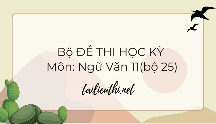 Bộ ĐỀ THI HỌC KỲ  Môn: Ngữ Văn 11(bộ 25) ( đa dạng và chi tiết )...