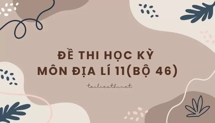 ĐỀ THI HỌC KỲ  Môn Địa Lí 11(bộ 46) ( đa dạng các câu hỏi hay và chi tiết )...