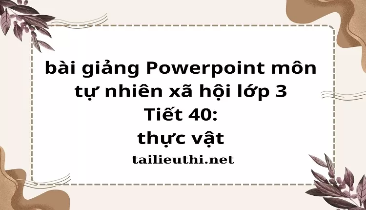 Tiết 40: thực vật