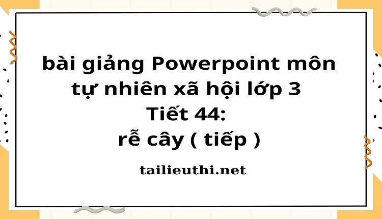 Tiết 44: rễ cây ( tiếp )