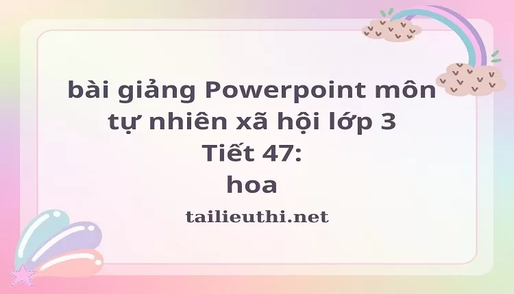 Tiết 47: hoa