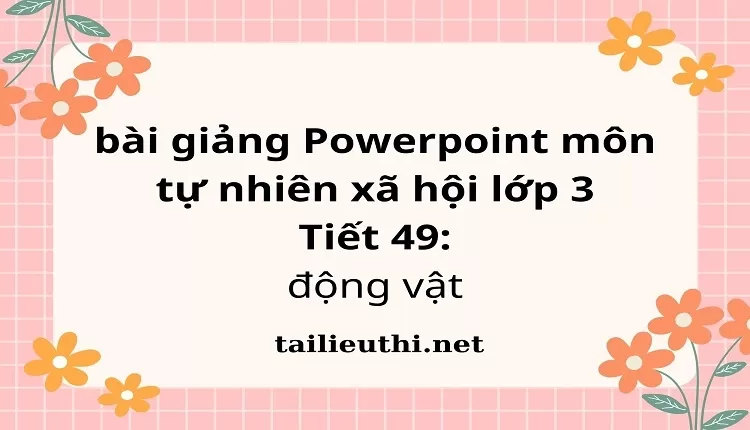 Tiết 49: động vật