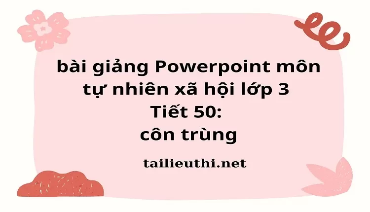 Tiết 50: côn trùng