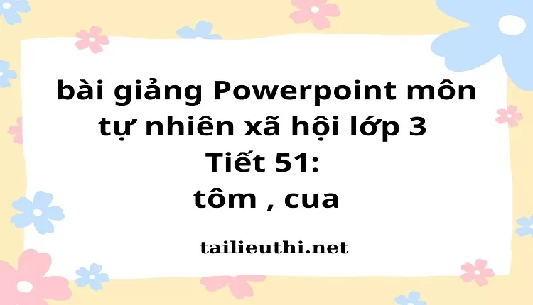 Tiết 51: tôm , cua