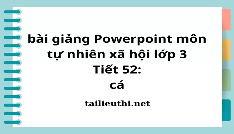 Tiết 52: cá