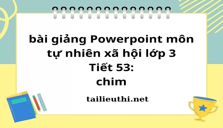 Tiết 53: chim