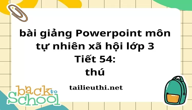 Tiết 54: thú