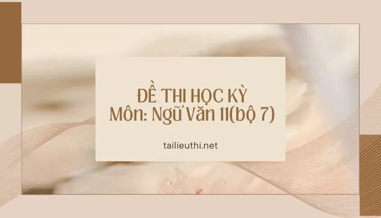 ĐỀ THI HỌC KỲ  Môn: Ngữ Văn 11(bộ 7) ( đa dạng và chi tiết )...