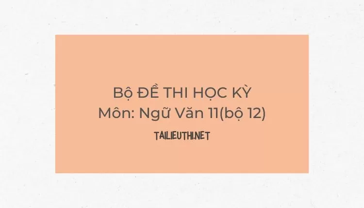 Bộ ĐỀ THI HỌC KỲ  Môn: Ngữ Văn 11(bộ 12)   ( đa dạng và chi tiết )...