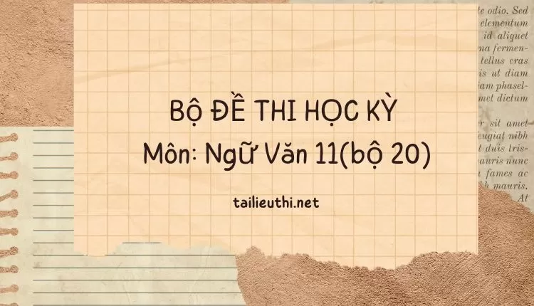 Bộ ĐỀ THI HỌC KỲ  Môn: Ngữ Văn 11(bộ 20)  ( đa dạng và chi tiết )...