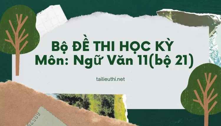 Bộ ĐỀ THI HỌC KỲ  Môn: Ngữ Văn 11(bộ 21)   ( đa dạng và chi tiết )...