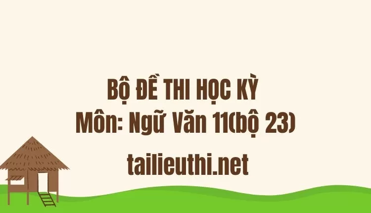 Bộ ĐỀ THI HỌC KỲ  Môn: Ngữ Văn 11(bộ 23)  ( đa dạng và chi tiết )...