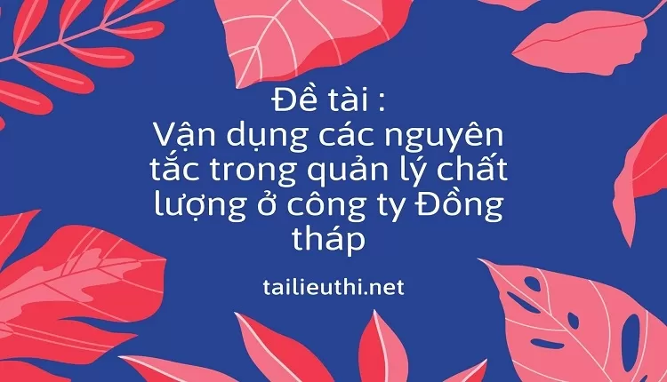 Vận dụng các nguyên tắc trong quản lý chất lượng ở công ty Đồng tháp.....