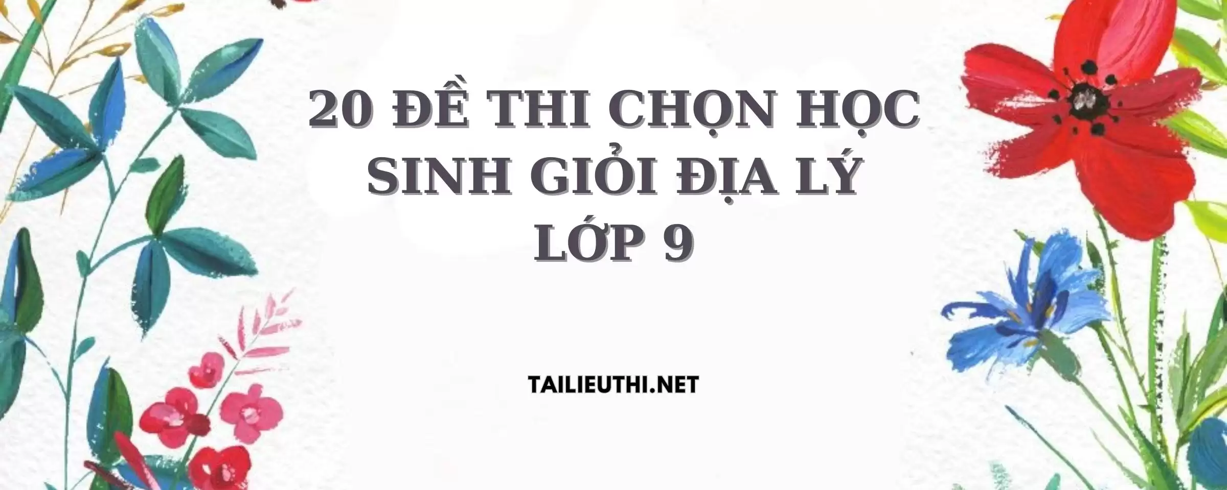 20 ĐỀ THI CHỌN HỌC SINH GIỎI ĐỊA LÝ LỚP 9