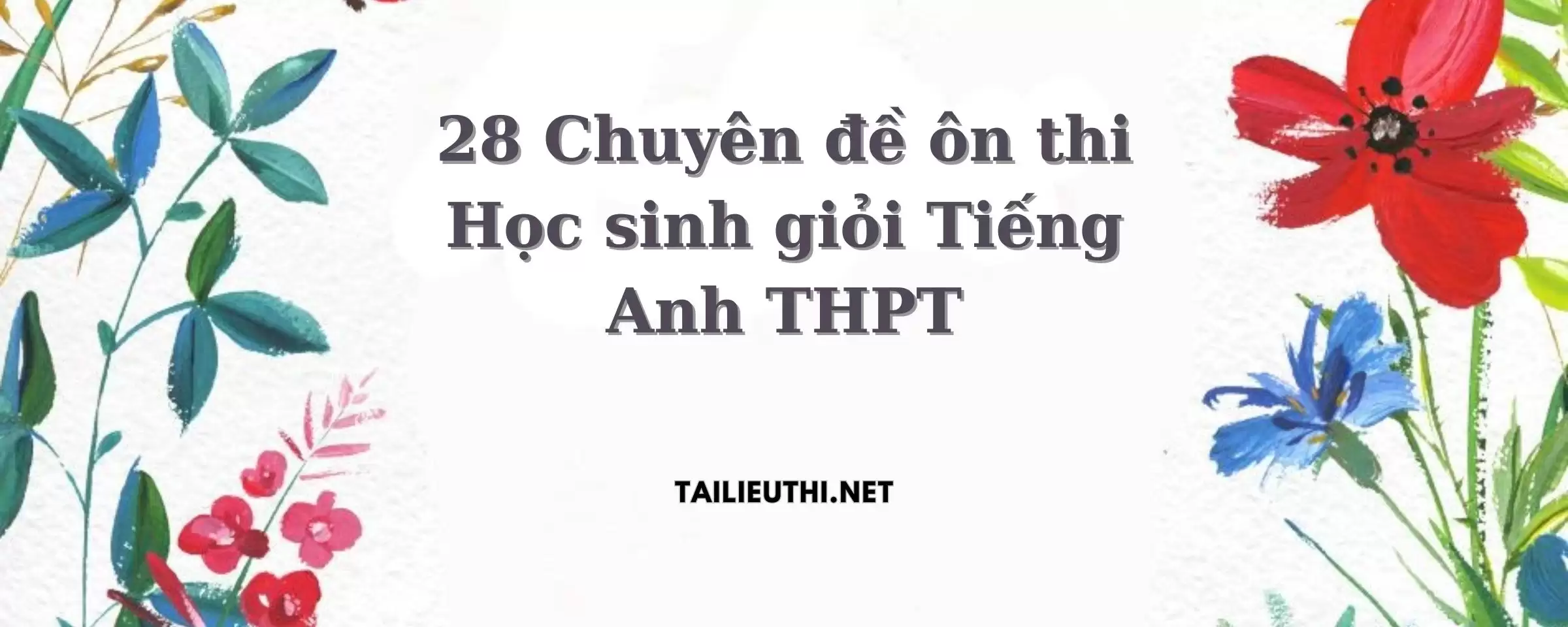 28 Chuyên đề ôn thi Học sinh giỏi Tiếng Anh THPT .