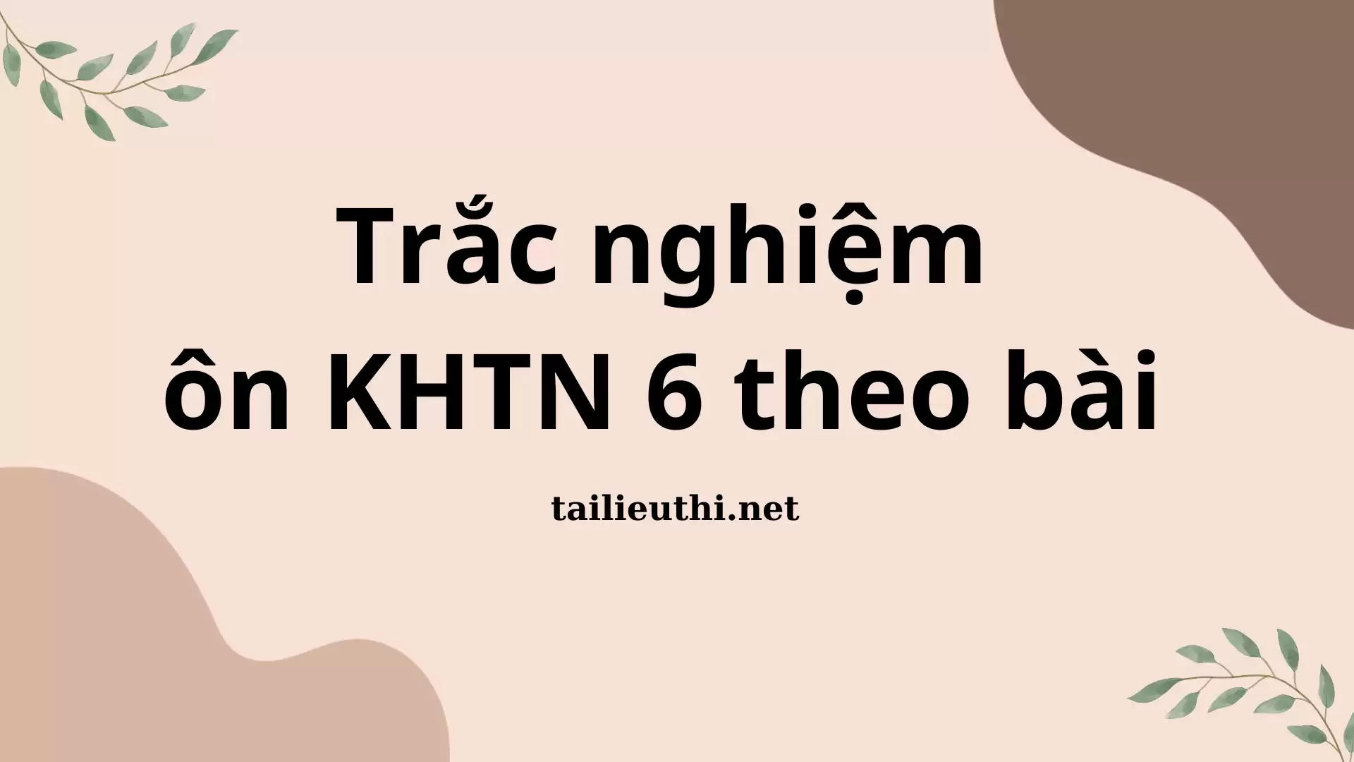 Trắc nghiệm ôn KHTN 6 theo bài (có lời giải chi tiết)