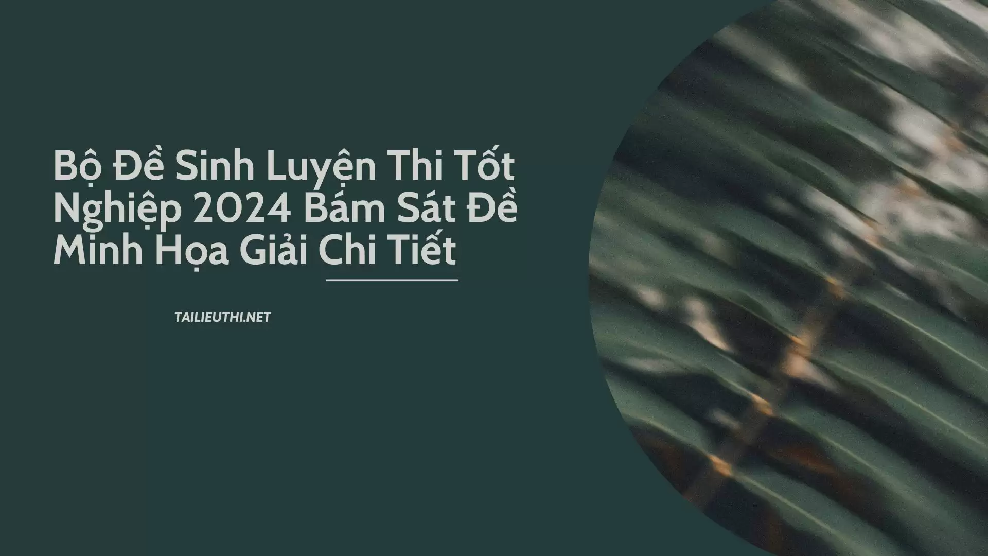 Bộ Đề Sinh Luyện Thi Tốt Nghiệp 2024 Bám Sát Đề Minh Họa Giải Chi Tiết