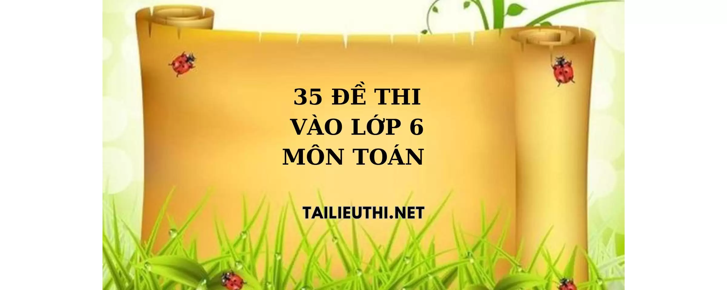 35 đề ôn thi vào lớp 6 môn toán