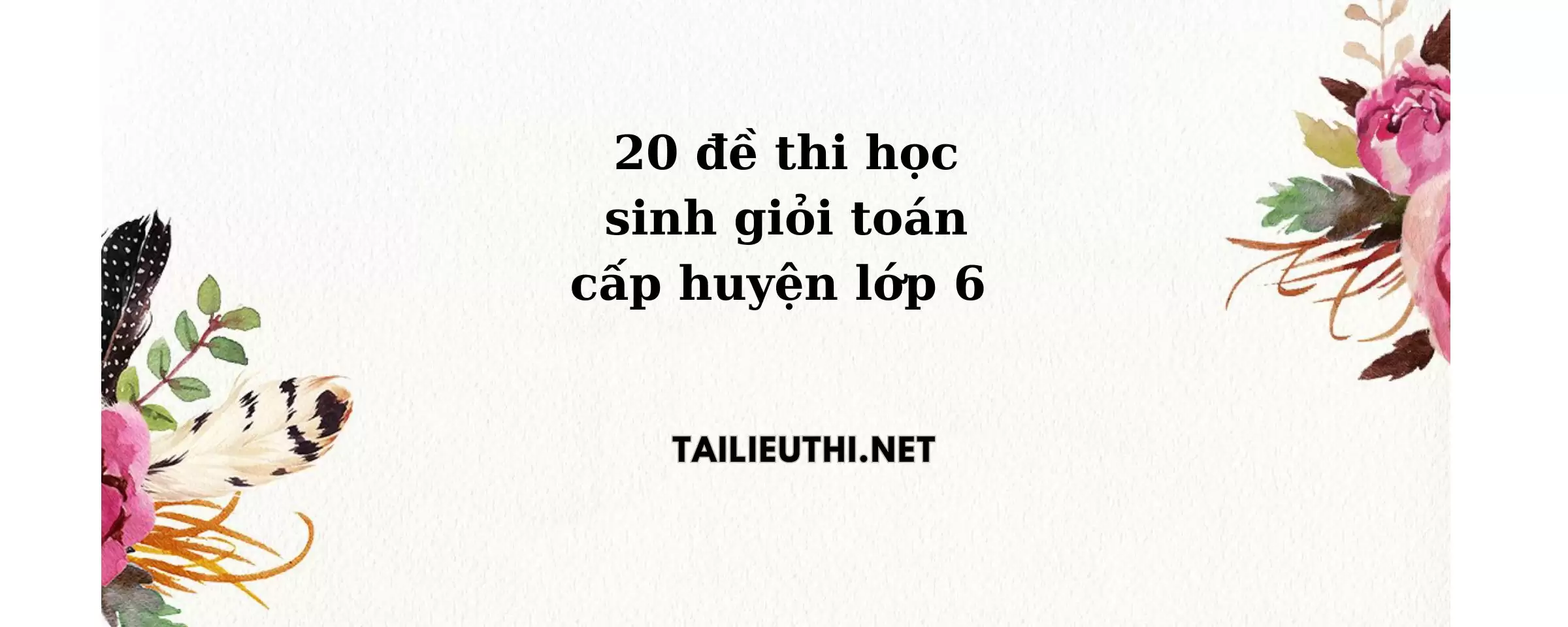 20 đề thi học sinh giỏi toán lớp 6 cấp huyện