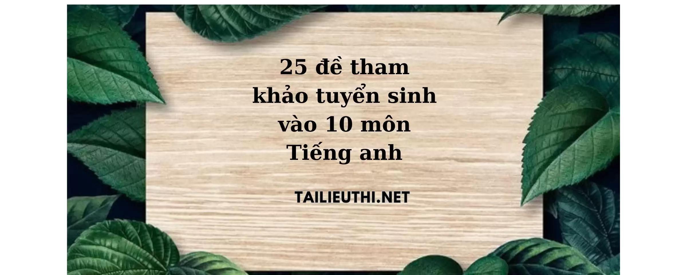 25 đề tham khảo tuyển sinh lớp 10 môn Tiếng Anh