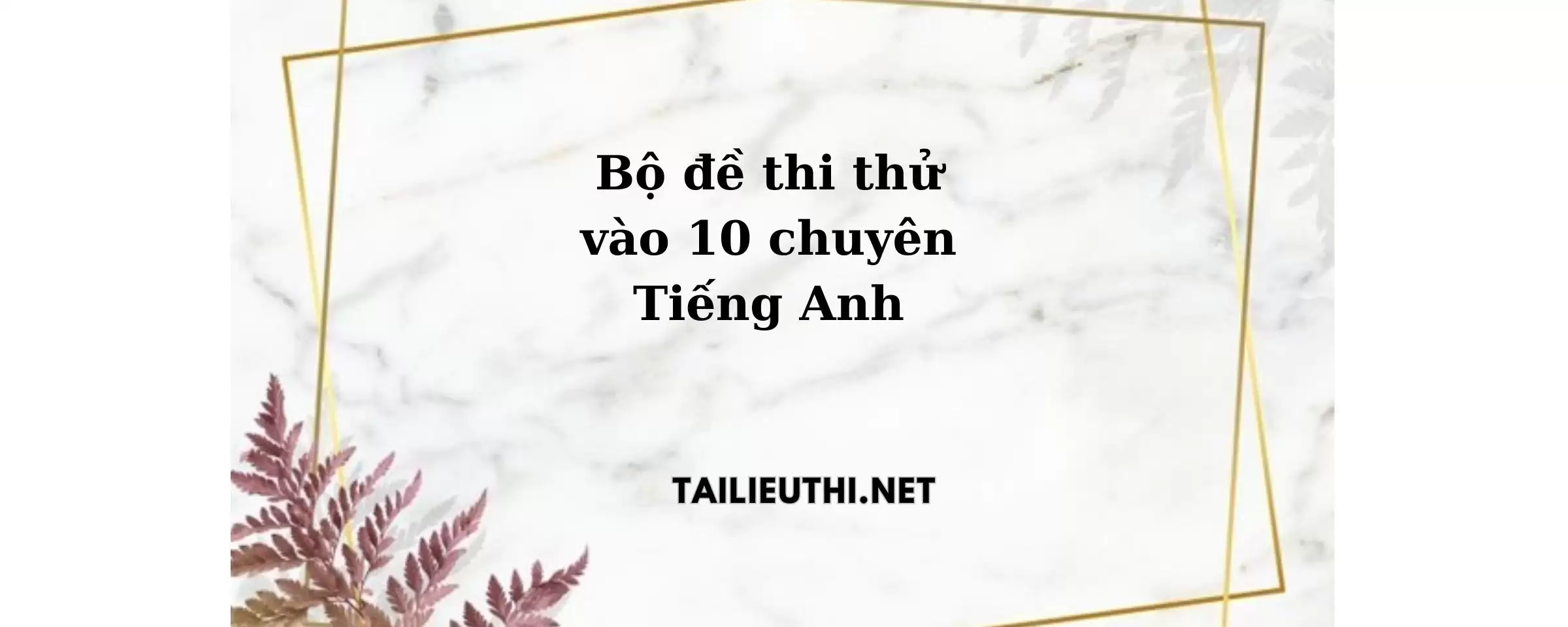 Bộ đề thi thử vào 10 chuyên Anh TP HCM