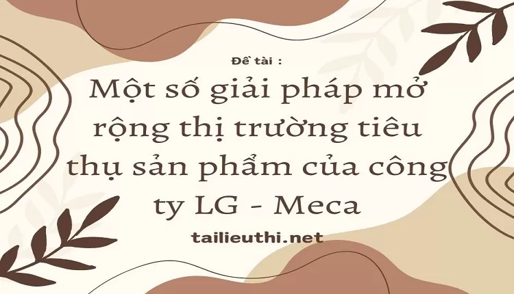 mở rộng thị trường tiêu thụ sản phẩm của công ty LG - Meca