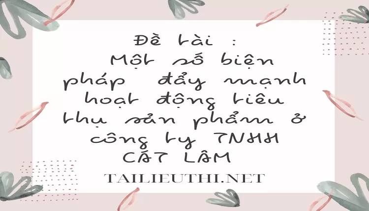 đẩy mạnh hoạt động tiêu thụ sản phẩm ở công ty TNHH CÁT LÂM