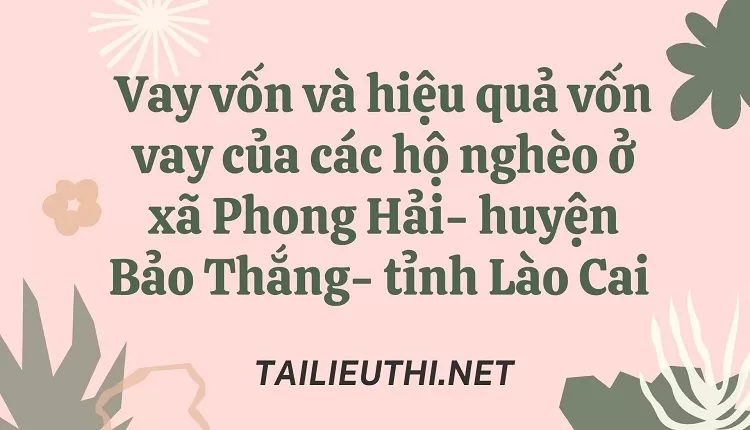 Vay vốn và hiệu quả vốn vay của các hộ nghèo ở xã Phong Hải- huyện Bảo Thắng- tỉnh Lào Cai