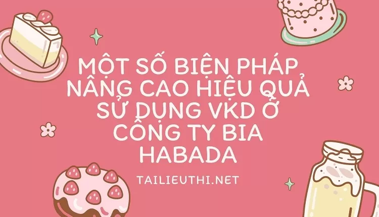 Một số biện pháp nâng cao hiệu quả sử dụng VKD ở Công ty bia HABADA