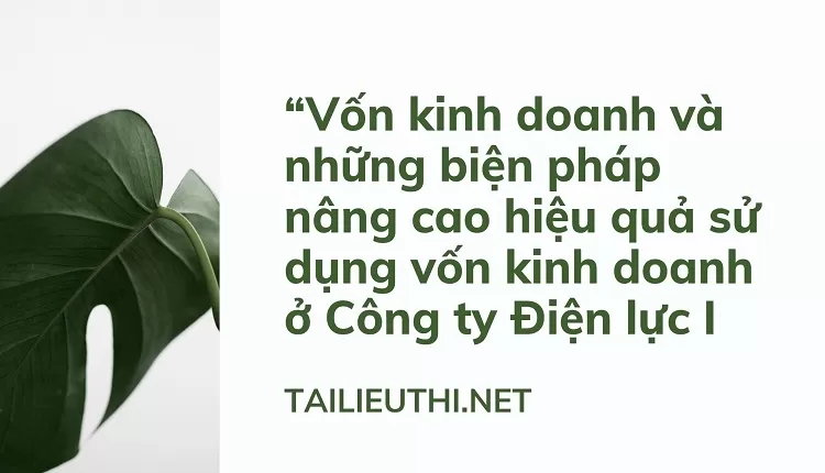 Vốn kinh doanh và những biện pháp nâng cao hiệu quả sử dụng vốn kinh doanh ở Công ty Điện lực I