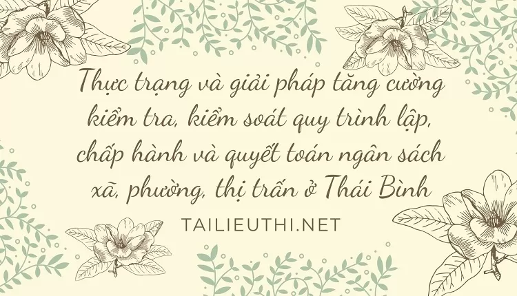 Giải pháp tăng cường kiểm tra quy trình chấp hành và quyết toán ngân sách xã, phường ở Thái Bình