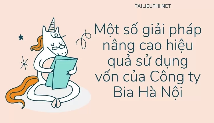 Một số giải pháp nâng cao hiệu quả sử dụng vốn của Công ty Bia Hà Nội