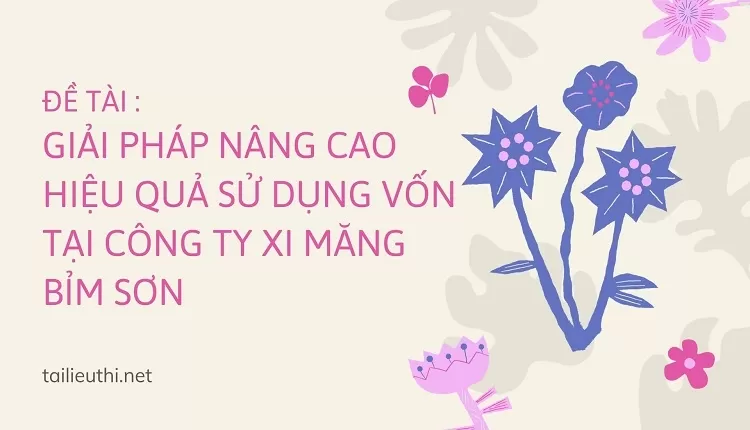 NÂNG CAO  HIỆU QUẢ SỬ DỤNG VỐN TẠI CÔNG TY XI MĂNG BỈM SƠN..