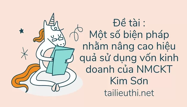 Một số biện pháp nhằm nâng cao hiệu quả sử dụng vốn kinh doanh của NMCKT Kim Sơn,..