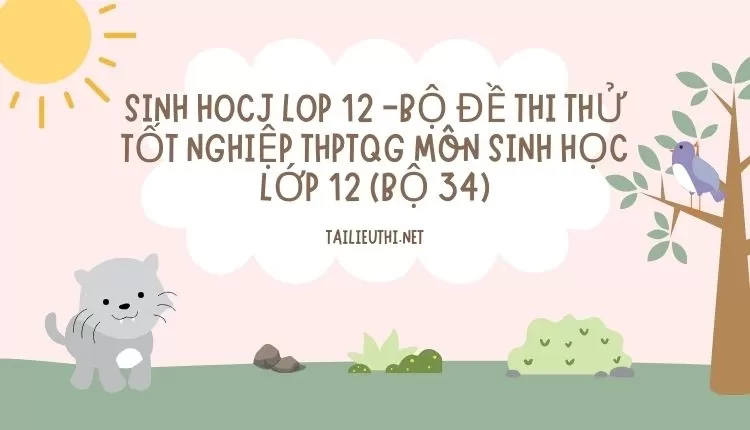 BỘ ĐỀ THI THỬ TỐT NGHIỆP THPTQG MÔN SINH HỌC LỚP 12 (BỘ 34)