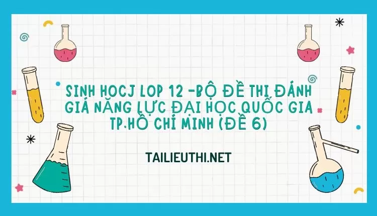 BỘ ĐỀ THI ĐÁNH GIÁ NĂNG LỰC ĐẠI HỌC QUỐC GIA TP.HỒ CHÍ MINH (ĐỀ 6)