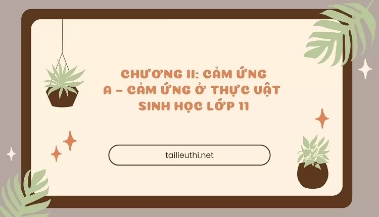 CHƯƠNG II: CẢM ỨNG A – CẢM ỨNG Ở THỰC VẬT sinh học lớp 11 ( đa dạng và chi tiết )...