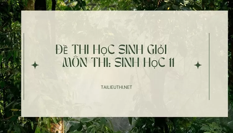 đề thi học sinh giỏi   Môn thi: SINH HỌC 11 ( đa dạng và chi tiết )...