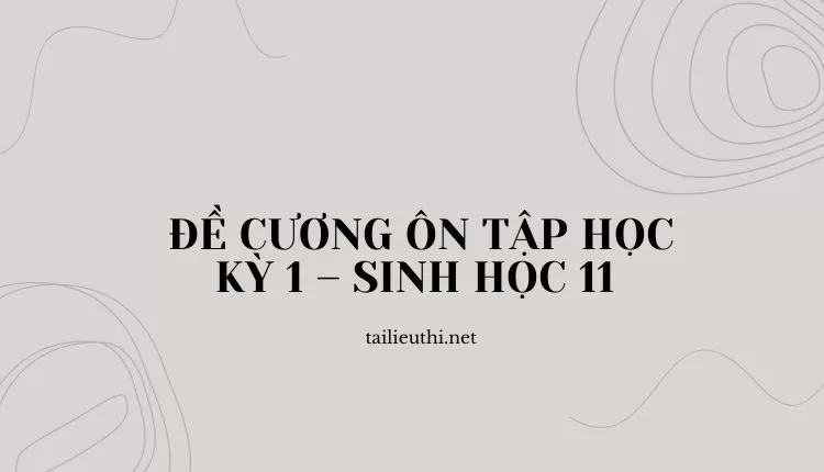 ĐỀ CƯƠNG ÔN TẬP HỌC KỲ 1 – SINH HỌC 11  ( đa dạng và chi tiết )...