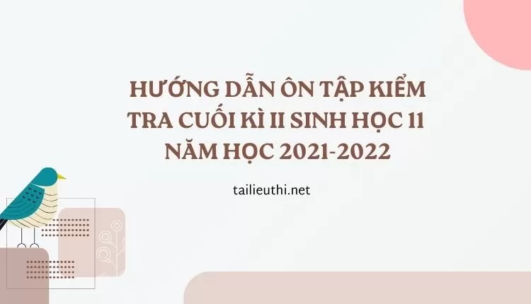 HƯỚNG DẪN ÔN TẬP KIỂM TRA CUỐI KÌ II SINH HỌC 11 NĂM HỌC 2021-2022