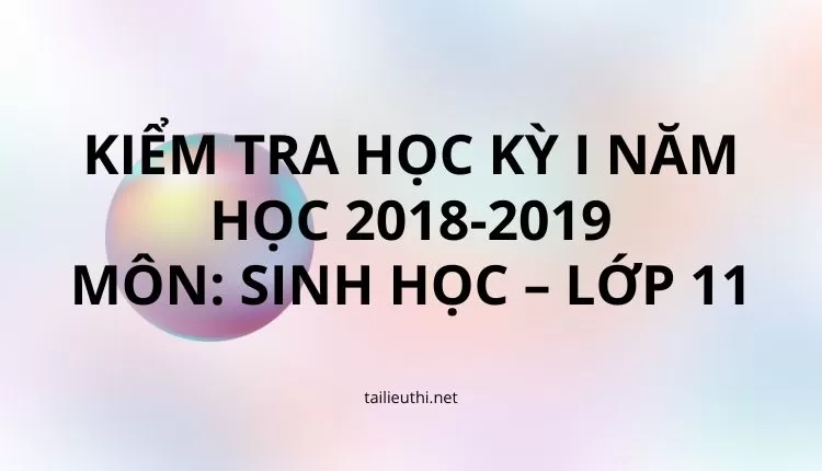 KIỂM TRA HỌC KỲ I NĂM HỌC 2018-2019 MÔN: SINH HỌC – LỚP 11