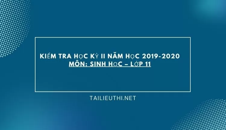 KIỂM TRA HỌC KỲ II NĂM HỌC 2019-2020 Môn: SINH HỌC – Lớp 11 đa dạng và chi tiết ...