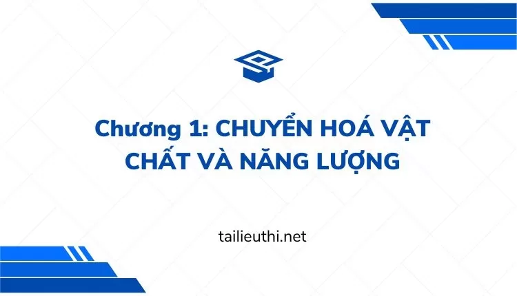 Chương 1: CHUYỂN HOÁ VẬT CHẤT VÀ NĂNG LƯỢNG  sịnh học lớp 11 ( đa dạng và chi tiết )...