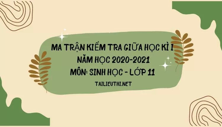 MA TRẬN KIỂM TRA GIỮA HỌC KÌ I  NĂM HỌC 2020-2021 Môn: SINH HỌC - LỚP 11