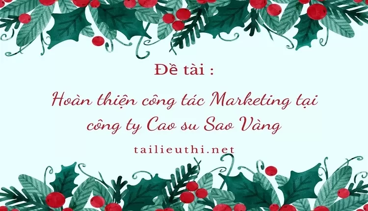 Hoàn thiện công tác Marketing tại công ty Cao su Sao Vàng,,...