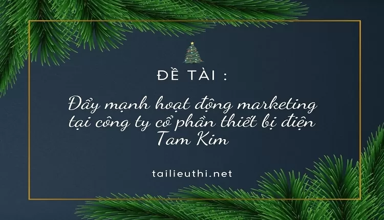 Đẩy mạnh hoạt động marketing tại công ty cổ phần thiết bị điện Tam Kim.,....