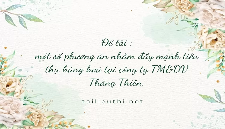 một số phương án nhằm đẩy mạnh tiêu thụ hàng hoá tại công ty TM&DV Thăng Thiên.,,...