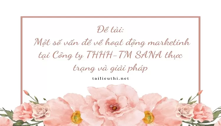 Một số vấn đề về hoạt động marketinh tại Công ty THHH-TM SANA thực trạng và giải pháp,...